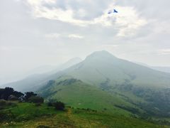 -大姆山草场