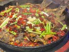 -老板恋上鱼(恒隆广场店)