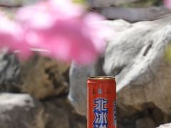 -宣武艺园