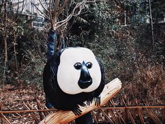 -红山森林动物园