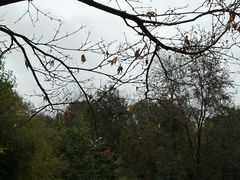 -明月山天沐温泉度假村