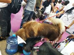 -重庆国际会议展览中心