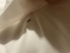 -和平宾馆(王府井店)