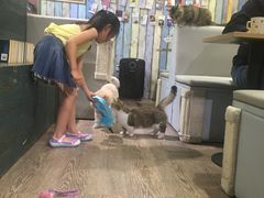 -小时光咖啡馆(开森度假森林店)