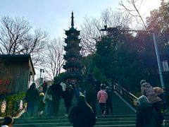 -上海佘山国家森林公园西佘山园