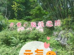 -英西峰林九重天景区