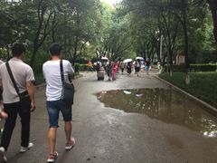 -陕西师范大学(雁塔校区)