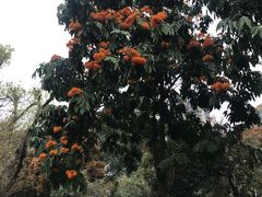 -晓港公园