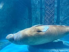 -波塞冬旅游度假区