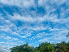 -永汉农贸综合市场