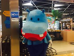 -盒马鲜生(宝地店)