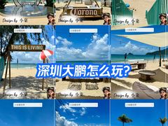 -西涌国际滨海旅游区