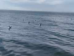 -青海湖二郎剑景区