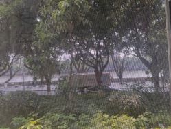 -莉泽月子中心(凯旋江景店)