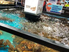 -盒马鲜生(曜一城店)