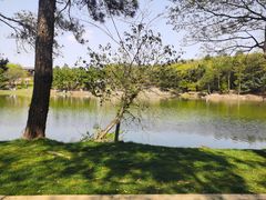 -南京市无想山景区