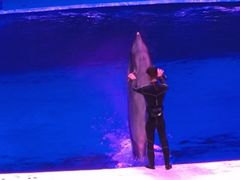 -华夏文旅海洋公园