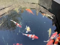-西安市广仁寺