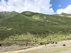 -扁都口生态休闲旅游区