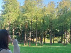 -晓港公园