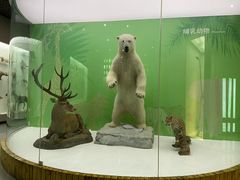 -国家自然博物馆