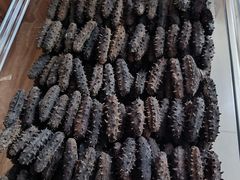 -宫品海参专卖店(静安大宁店)