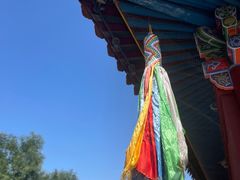 -大召无量寺