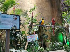 -杭州开元森泊度假乐园