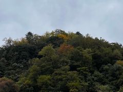 -光雾山旅游景区