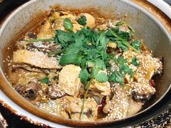 椒麻鸡-周家二小姐的菜(西津渡店)