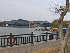 -上海长兴岛郊野公园