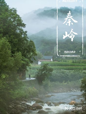 秦岭秘境丨夏季秦岭，一起带娃探秘大自然