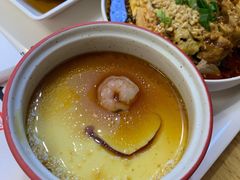 鸡蛋羹-七食九号食堂(东丽空港店)