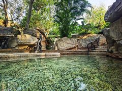 -海口观澜湖火山温泉谷