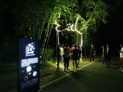 -福建鲤鱼洲酒店