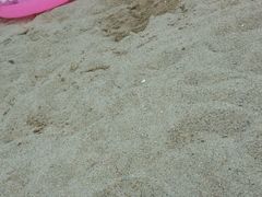 -玫瑰海岸文化旅游度假区