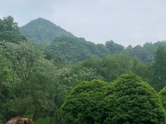 -五泄景区