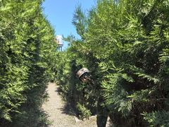 -亲兄弟真人CS团建拓展基地