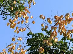 -滨湖塘西河公园
