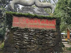 -海口火山口国家地质公园