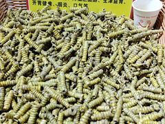 -中国农业博物馆