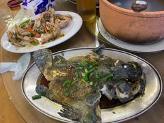 清蒸龙趸鱼-巽东海鲜大排档(巽寮湾店)