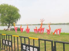 -桐乡凤凰湖
