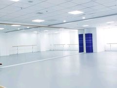 -西安小天鹅艺术团(金花路校区)