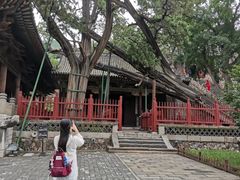 -晋祠公园