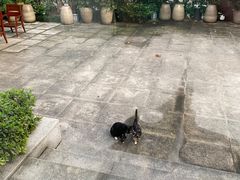 -金海湾自助餐厅(金陵饭店)