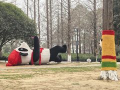 -宝岩生态观光园