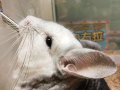 -龙猫仔乐园(惠福东路店)