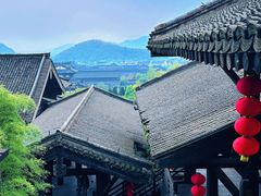 -大唐贡茶院