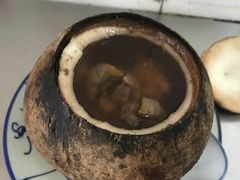原只椰子炖飞天鸭-達揚原味燉品(文明路店)